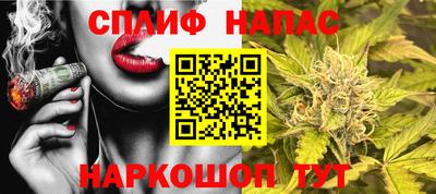 мдпв Новокубанск