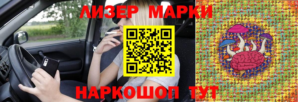 Меф Сочи